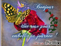 roses rouge - Безплатен анимиран GIF