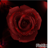růže animasyonlu GIF