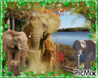 La femme tarzan et ses gentils éléphants ♥♥♥ アニメーションGIF