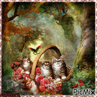 CHATS & PAPILLONS Animiertes GIF