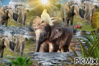 Elephants GIF animé