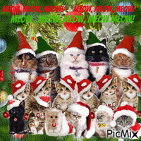Christmas Kitty Chorus!