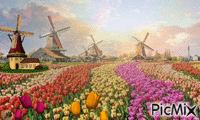 Holanda GIF animata