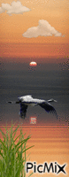 sunsetbird   original backgrounds, painting,digital art by tonydanis - Darmowy animowany GIF