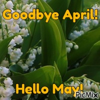 Goodbye April! Hello May! - GIF animado grátis