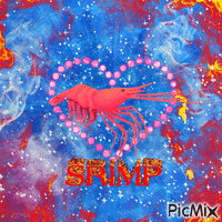 srimp анимиран GIF