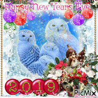 NEW YEARS OWL 2019  3 - Бесплатный анимированный гифка