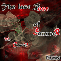 The last Rose of Summer - Free animated GIF