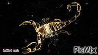 scorpion - GIF animado gratis