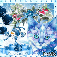 ☆☆ MERRY CHRISTMAS CAT BLUE☆☆ - Animovaný GIF zadarmo