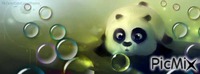 Panda Bubbles - Gratis animerad GIF