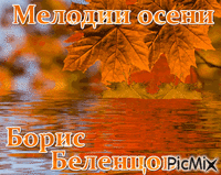 Борис Беленцов - Zdarma animovaný GIF