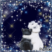 Look the stars - Free animated GIF