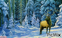 Deer in Winter - GIF เคลื่อนไหวฟรี