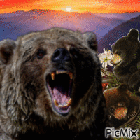 grizzly and cubs - GIF animé gratuit