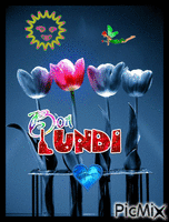 Lundi - Δωρεάν κινούμενο GIF