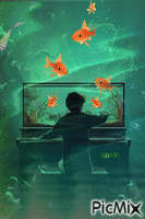 niño con acuario - Безплатен анимиран GIF