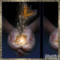 farfalle - GIF animate gratis