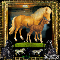 Le monde magique des chevaux - 無料のアニメーション GIF