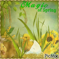 Concours : Caneton au printemps - Tons jaunes et verts - Gratis animerad GIF