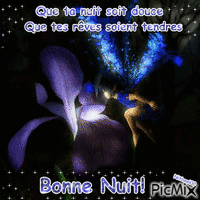 Bonne Nuit - GIF animé gratuit