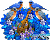 Benim PicMix - Δωρεάν κινούμενο GIF
