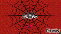 une araignée GIF animé
