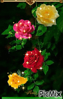 ROSAS SEMPRE ROSAS - Безплатен анимиран GIF