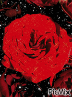 Rosa roja GIF animé