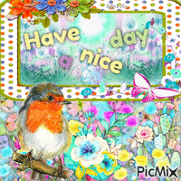 Have a nice day-contest