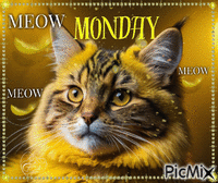 Meow MONDAY - Animovaný GIF zadarmo