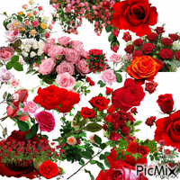 przepadam za różami /PMS - GIF animasi gratis