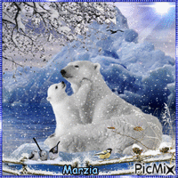 orso polare - GIF animé gratuit