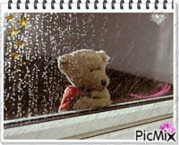 bear rain - Ilmainen animoitu GIF