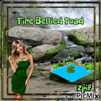 Fire Bellied Toad - Free animated GIF