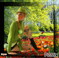 Le champ de tulipes - Free animated GIF