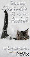 buona giornata di neve amici miao - GIF animate gratis