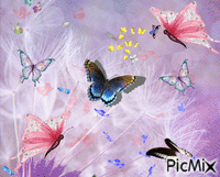 Papillonnages - Бесплатный анимированный гифка