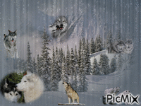 les loups - Animovaný GIF zadarmo