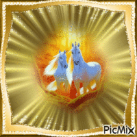 cheval blanc - Бесплатный анимированный гифка