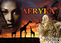 AFRYKA - GIF animate gratis