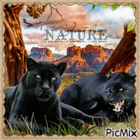 Natur der Panther - GIF animate gratis