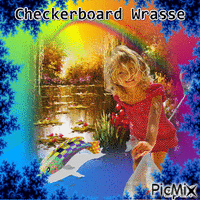 Checkerboard Wrasse GIF animé