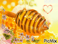 мёд - Nemokamas animacinis gif