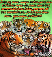 les tigres en colère Gif Animado