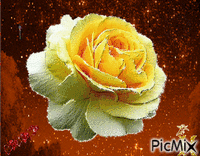 sárga rózsa GIF animé