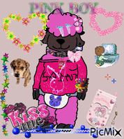 pinkboy animasyonlu GIF