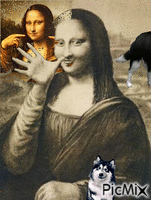 Mona, mona animovaný GIF