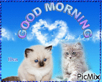 Bonjour les chatons animovaný GIF