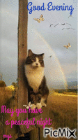 Cats - Ingyenes animált GIF